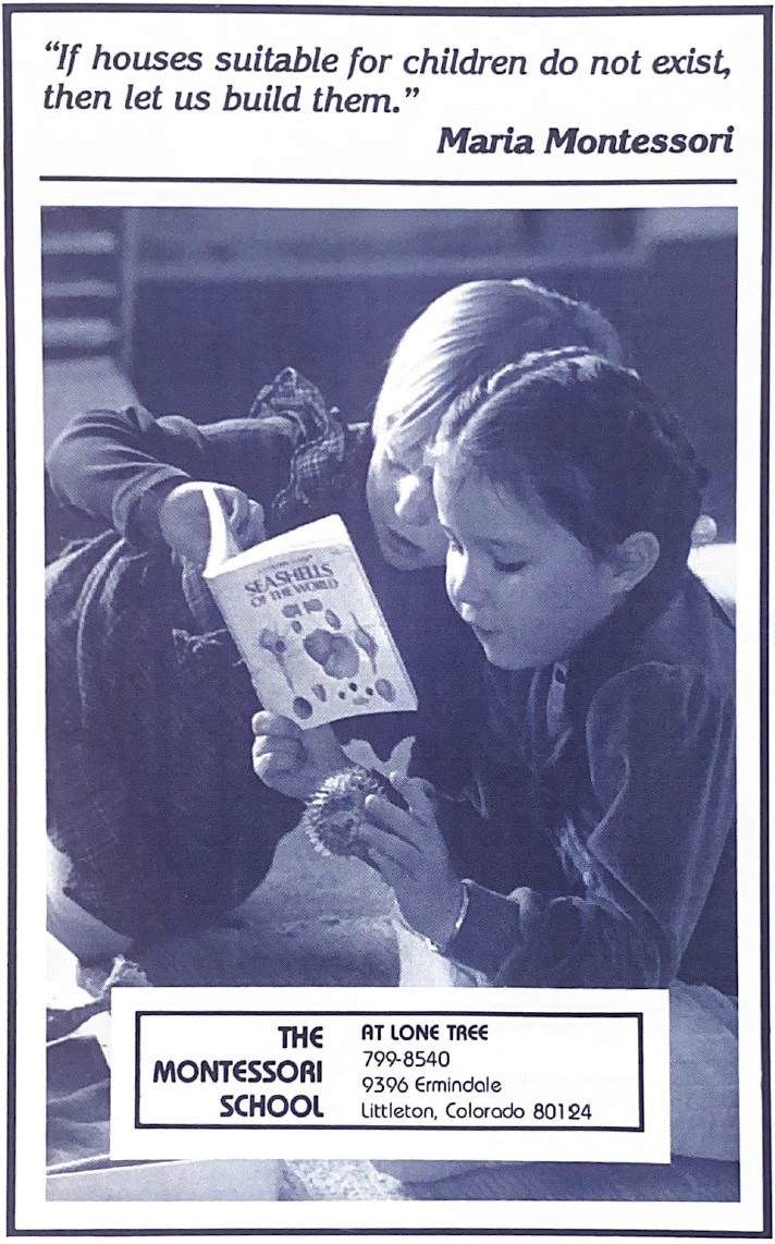 1980s, Original MSLT Pamphlet
